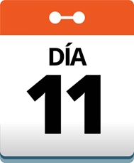 Día 11