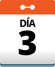 Día 3
