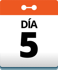 Día 5