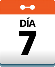 Día 7