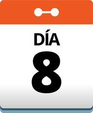 Día 8