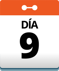 Día 9