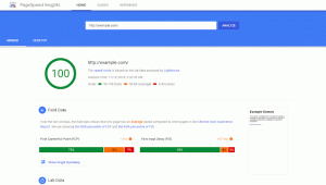 Google Pagespeed